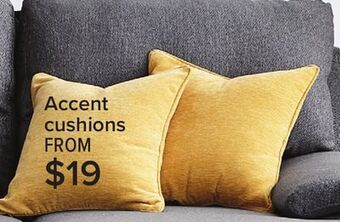 Leon's Camille accent cushions offer