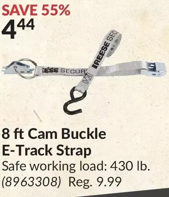 Princess Auto 8 ft cam buckle e-track strap offer