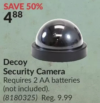 Princess Auto Decoy security camera offer