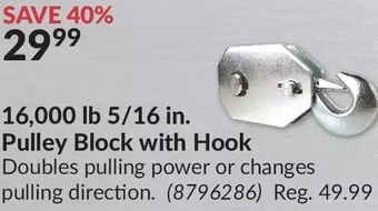 Princess Auto 16,000 lb 5/16 in. pulley block with hook offer