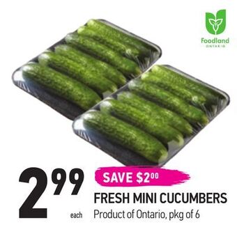 Coppa's Fresh Market Fresh mini cucumbers offer