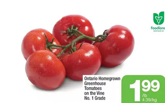 Highland Farms Ontario homegrown greenhouse tomatoes on the vine offer
