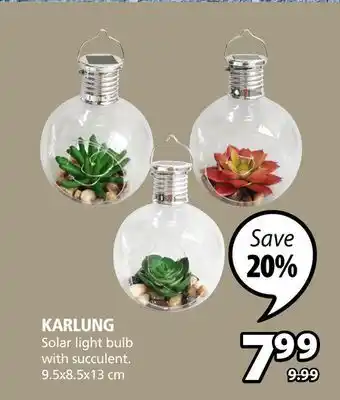 JYSK Karlung solar light bulb with succulent offer