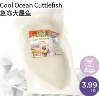 Cool Ocean Cuttlefish