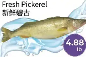 FreshWay Foodmart Fresh Pickerel offer