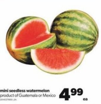Real Canadian Superstore Mini Seedless Watermelon offer