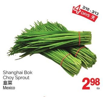 T&T Supermarket Shanghai bok choy sprout offer