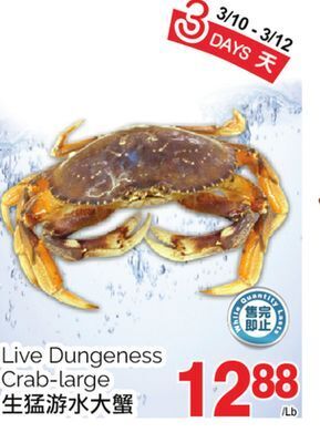 T&T Supermarket Live dungeness crab-large offer