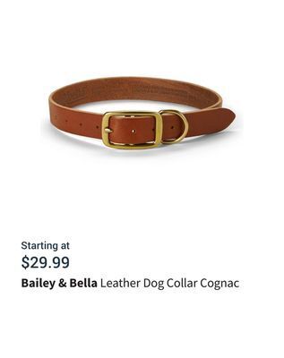 Petvalu Leather dog collar cognac offer