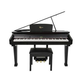 EconoMax Plus Minigrand bluetooth digital piano
(minigrand ii) - display model offer
