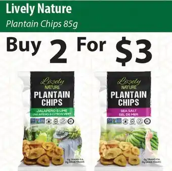 Healthy Planet Lively nature plantain chips offer