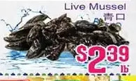 Grant's Foodmart Live mussel offer