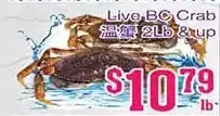 Grant's Foodmart Live bc crab offer