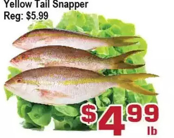 Top Food Supermarket Yellow tail snapper offer