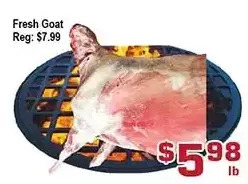 Top Food Supermarket Fresh goat offer