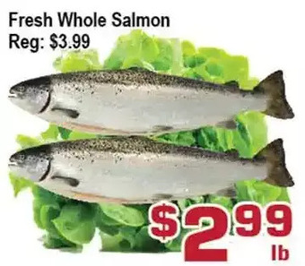 Top Food Supermarket Fresh whole salmon offer
