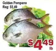 Top Food Supermarket Golden pompano offer