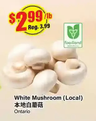 Btrust Supermarket White mushroom offer