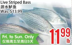 Bestco Food Mart Live striped bass offer