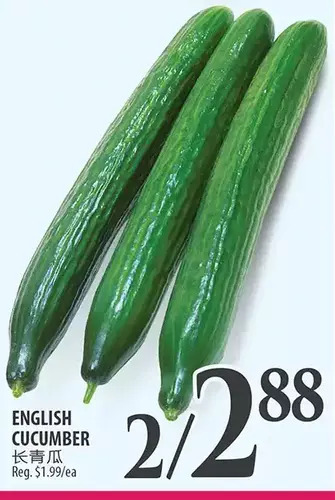 Al Premium Food Mart English cucumber offer