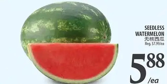 Al Premium Food Mart Seedless watermelon offer