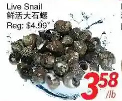 Foody World Live snail offer