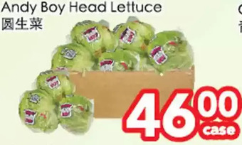 Superking Supermarket Andy boy head lettuce offer