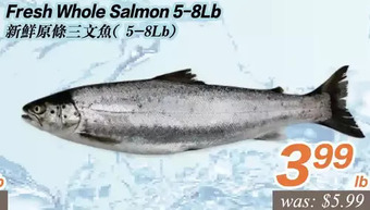 Seasons Foodmart Fresh whole salmon offer