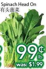 Ample Food Market Spinach head on offer