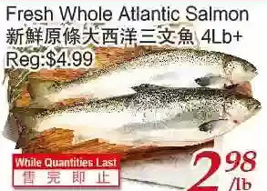 Tone Tai Supermarket Fresh whole atlantic salmon offer