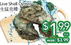 Ample Food Market Live shell oyster offer