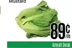 Nations Fresh Foods Mustard offer