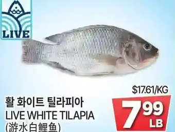 H-Mart Live white tilapia offer