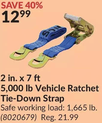 Princess Auto Erickson 2 in. x 7 ft 5,000 lb vehicle ratchet tie-down strap offer