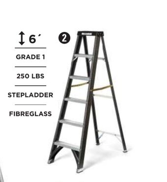 Canadian Tire Maximum Ladder offer