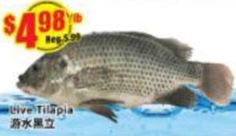 Btrust Supermarket Live Tilapia offer