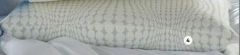 Sleep Country King bio-soy pillow offer