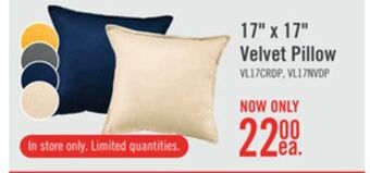 The Brick 17" x 17" velvet pillow offer