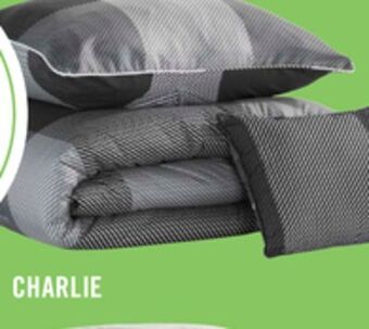 The Brick Charlie 3-piece twin comforter set offer