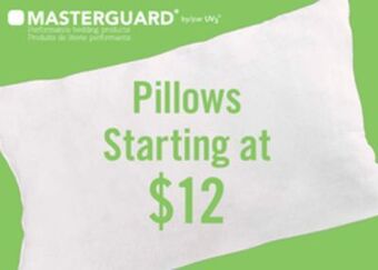 The Brick Pillows offer
