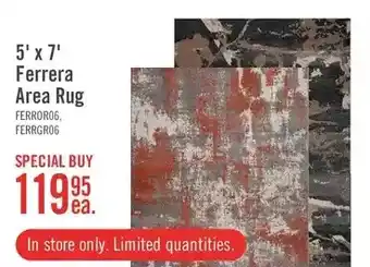 The Brick 5' x 7' ferrera area rug offer