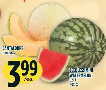 Marché Adonis Seedless mini watermelon offer