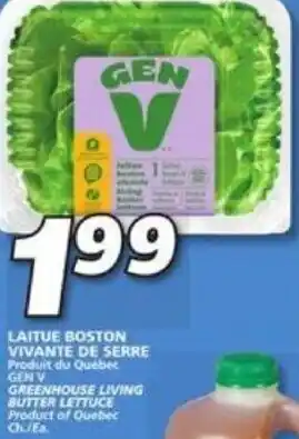 IGA Gen V Laitue Boston Vivante de Serre offer