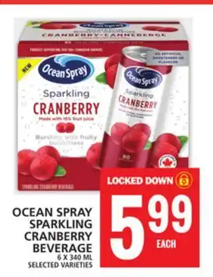 Food Basics Ocean spray sparkling cranberry beverage offer