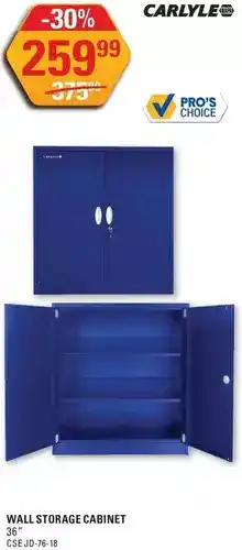 NAPA Auto Parts Carlyle wall storage cabinet offer