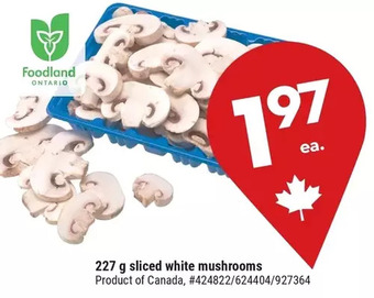 Giant Tiger 227 g sliced white mushrooms offer