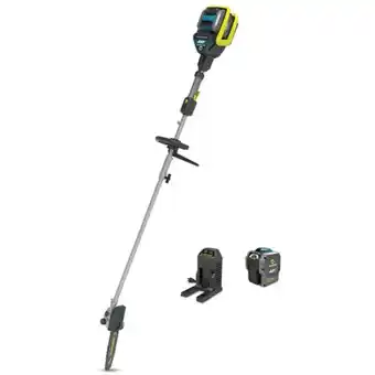 Canadian Tire 48v 2ah 10" cordless polesaw offer
