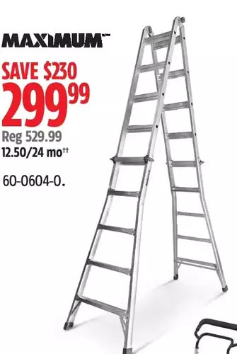 Canadian Tire Maximum ladder offer