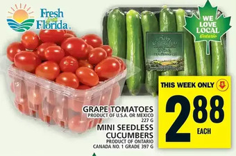 Food Basics Grape tomatoes | mini seedless cucumbers offer