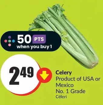 FreshCo Celery offer